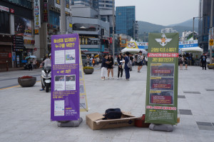 DSC09012